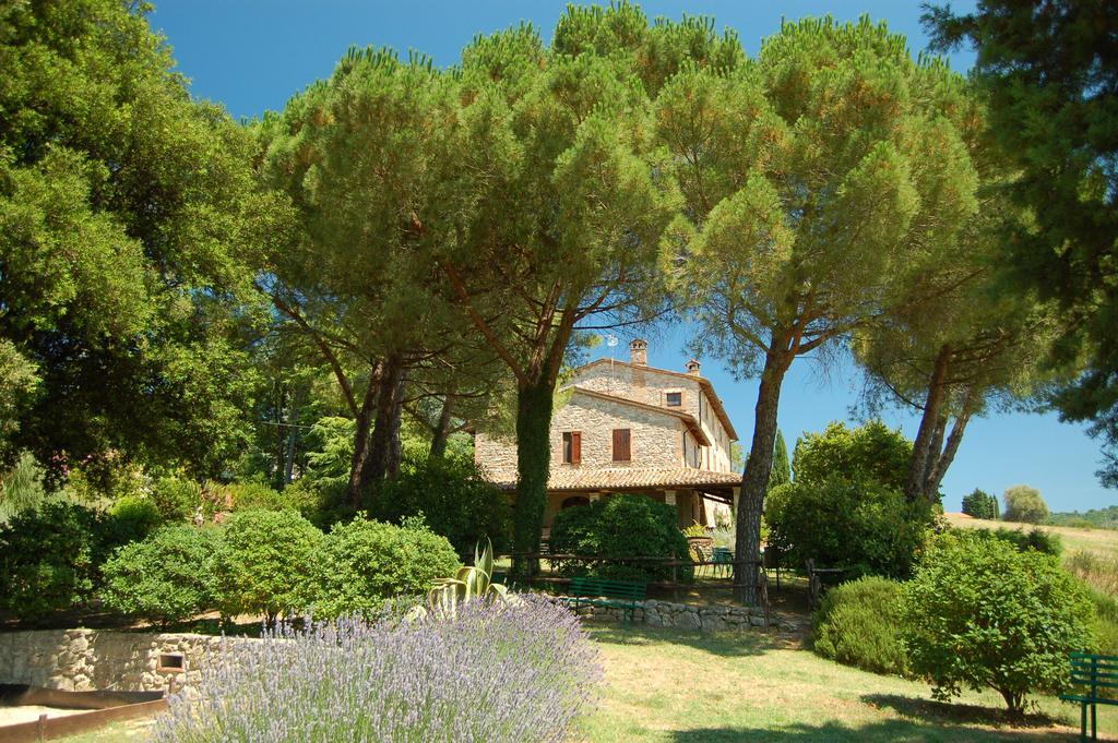 San Terenziano Agriturismo Casale Dei Frontini מראה חיצוני תמונה