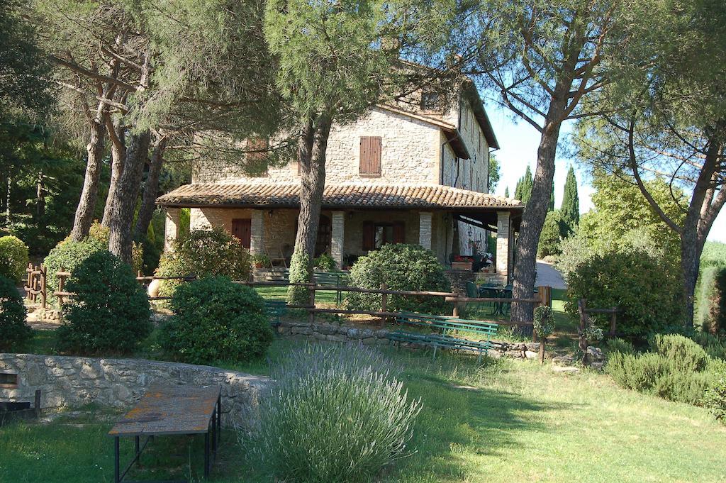San Terenziano Agriturismo Casale Dei Frontini מראה חיצוני תמונה