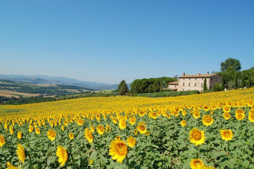 San Terenziano Agriturismo Casale Dei Frontini מראה חיצוני תמונה