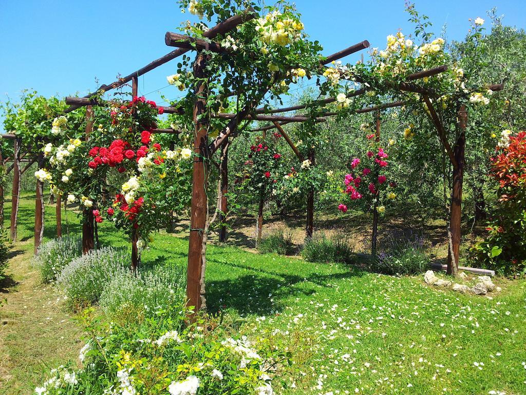San Terenziano Agriturismo Casale Dei Frontini מראה חיצוני תמונה