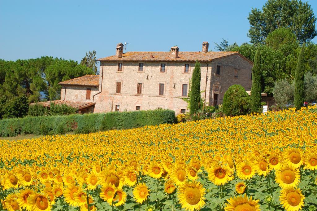 San Terenziano Agriturismo Casale Dei Frontini מראה חיצוני תמונה