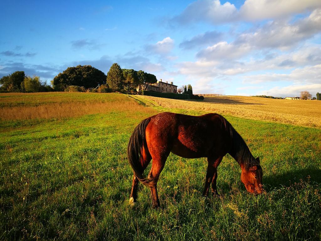 San Terenziano Agriturismo Casale Dei Frontini מראה חיצוני תמונה
