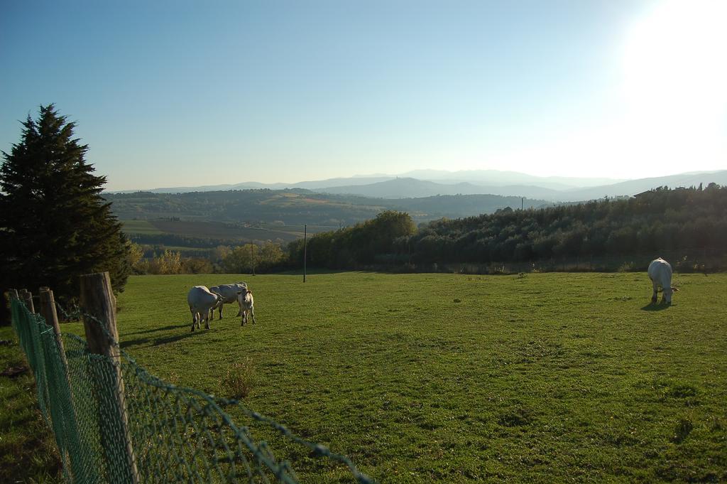 San Terenziano Agriturismo Casale Dei Frontini מראה חיצוני תמונה