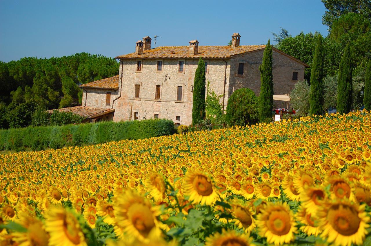 San Terenziano Agriturismo Casale Dei Frontini מראה חיצוני תמונה